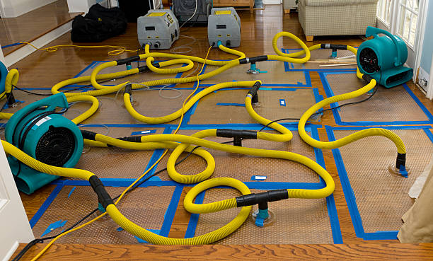 Professional Sewage Cleanup technician working in Monroe, CT